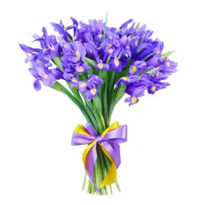 Букет из ирисов